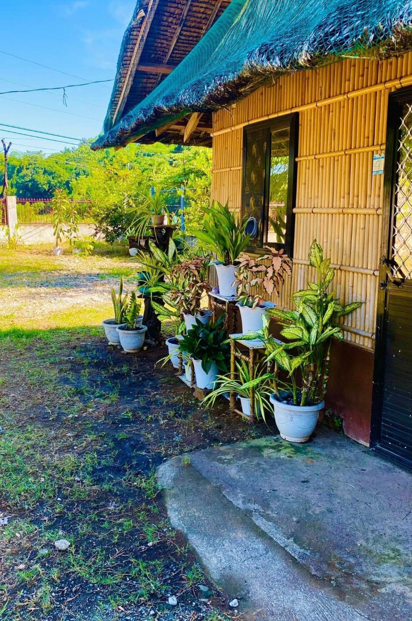 Casa De Flores Alaminos Bagian luar foto